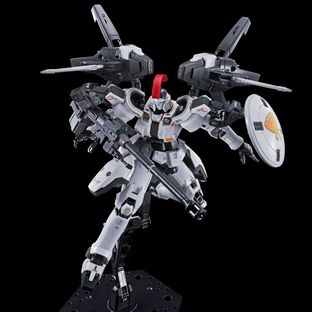 Bandai RG 1/144 TALLGEESE(TV ANIME COLOR) P-Bandai