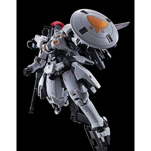 Bandai RG 1/144 TALLGEESE(TV ANIME COLOR) P-Bandai